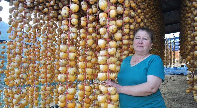 İzmirli kadın girişimci cennet hurması kurutarak ihracata başladı
